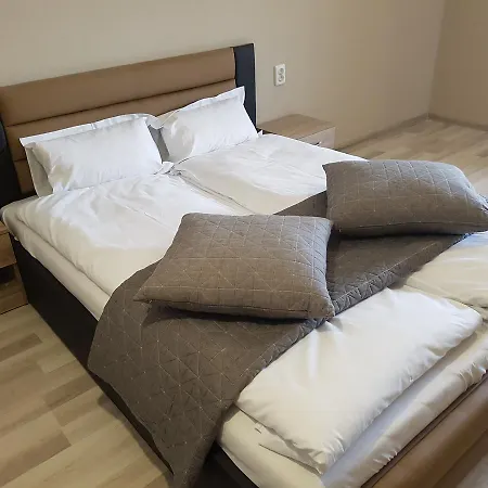 Comfort Апартаменты *
